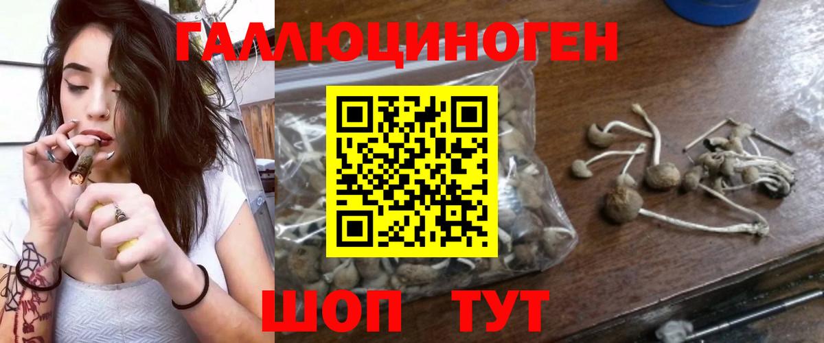 Псилоцибиновые грибы GOLDEN TEACHER  Псилоцибиновые грибы GOLDEN TEACHER  Вход с VPN  Саратов 